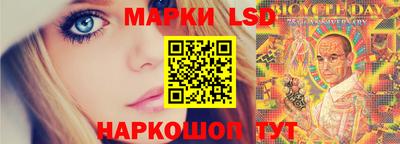 apvp Свободный