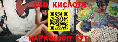 apvp Свободный