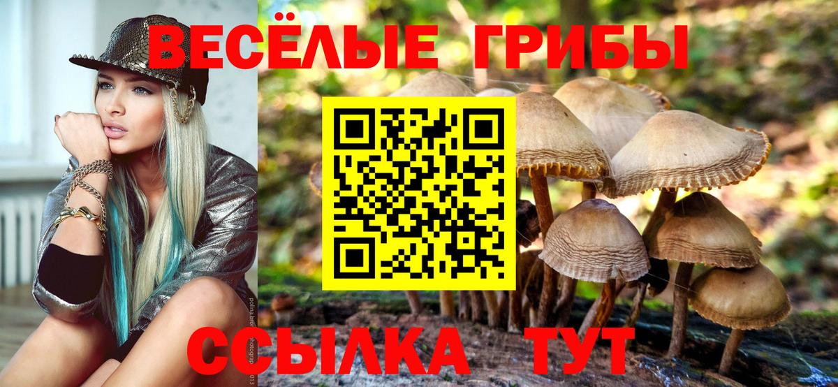 Псилоцибиновые грибы мухоморы Ртищево